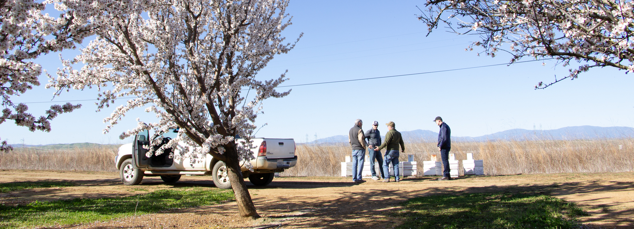 Beekeepers of the BeeCAUSE Alliance