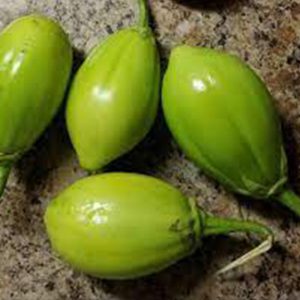 Bitter Eggplant
